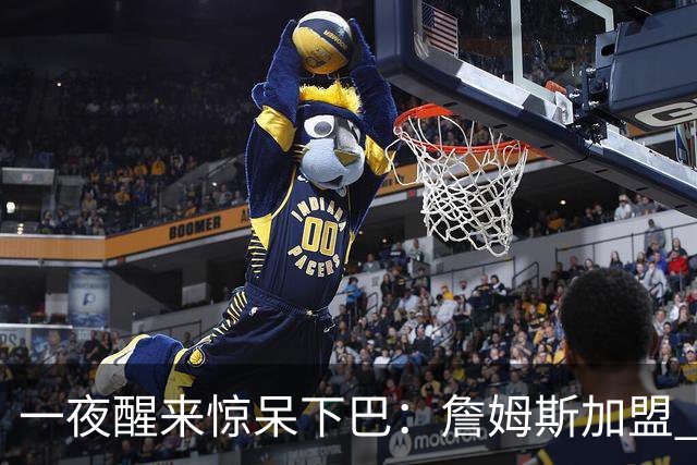 一夜醒来惊呆下巴：詹姆斯加盟 76 人，年薪比肩杨瀚森