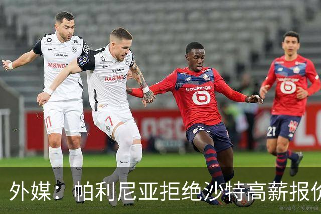 外媒：帕利尼亚拒绝沙特高薪报价，他想留在欧洲+愿回归葡超