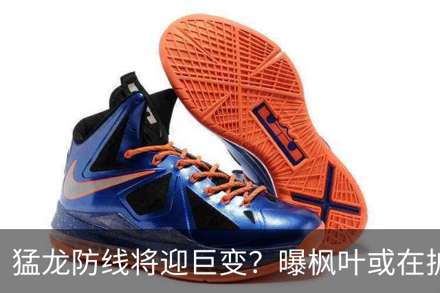 猛龙防线将迎巨变？曝枫叶或在扩军选秀中放弃摩根·里利
