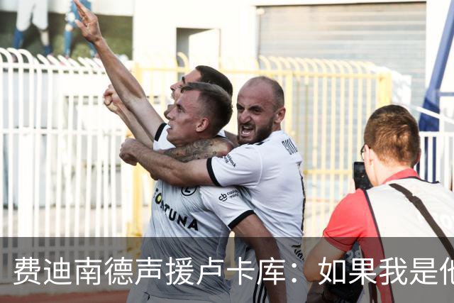 费迪南德声援卢卡库：如果我是他 我可能会疯